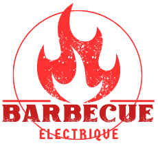 barbecue-electrique.net